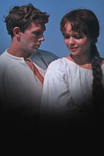 Wedding in Malinovka (1967) movie poster