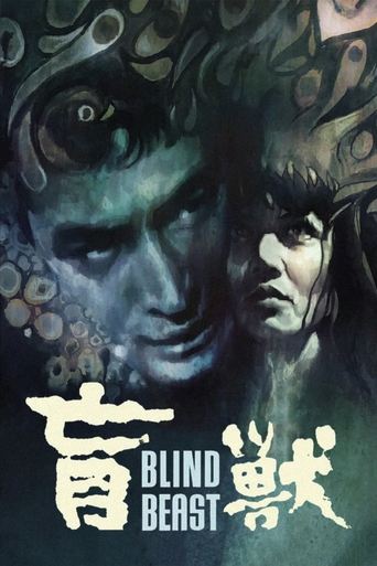 Blind Beast (1969) movie poster