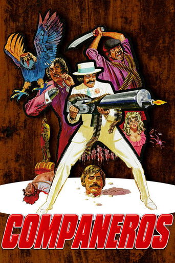 Compañeros (1970) movie poster