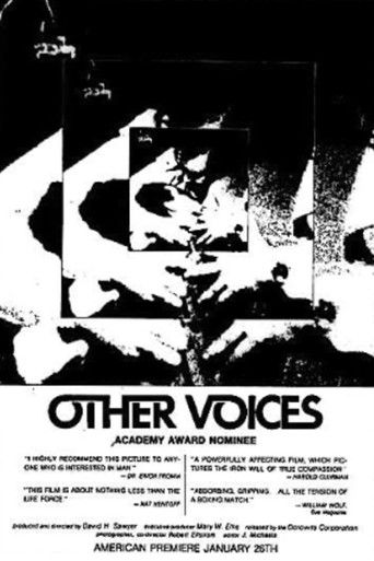 Other Voices poster