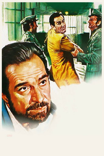In the Name of the Italian People (1971) movie poster