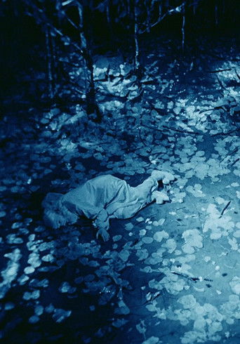 Rabbit's Moon (1971) movie poster