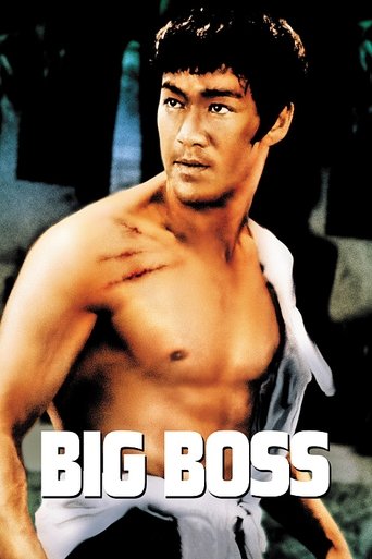 The Big Boss (1971) movie poster