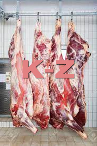 K-Z poster