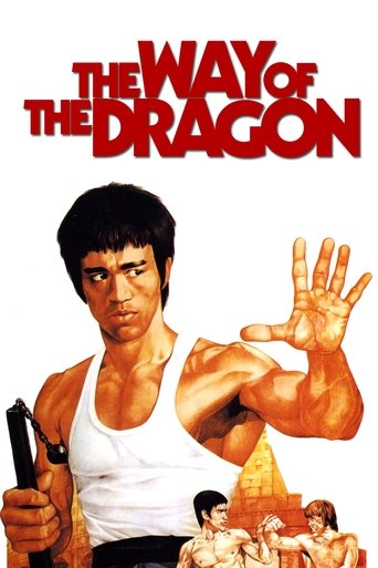 The Way of the Dragon (1972) movie poster
