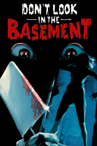 Don't Look in the Basement (1973) movie poster