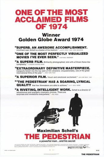 The Pedestrian poster