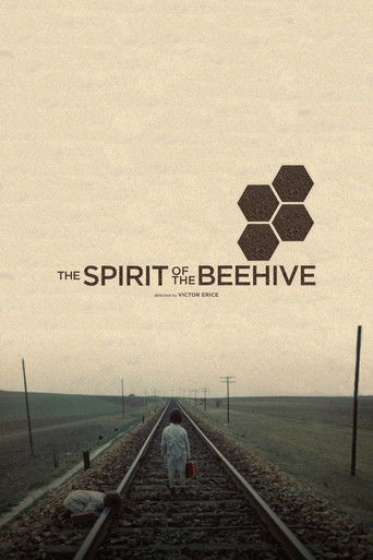 The Spirit of the Beehive (1973) movie poster