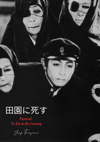 Pastoral: To Die in the Country (1974) movie poster