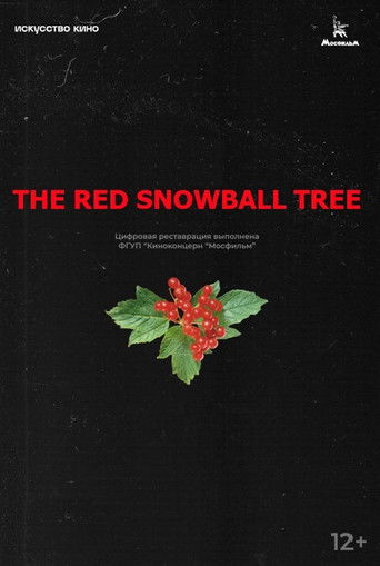 The Red Snowball Tree (1974) movie poster