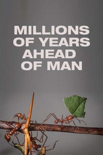 Millions of Years Ahead of Man poster