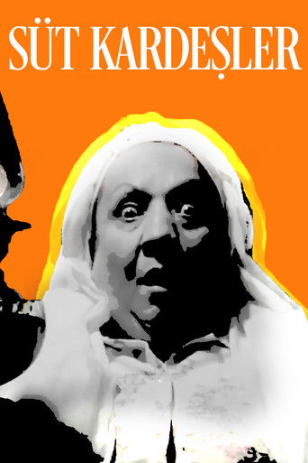 The Foster Brothers (1976) movie poster