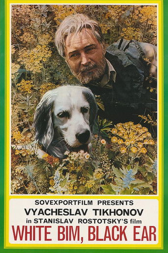 White Bim Black Ear (1977) movie poster