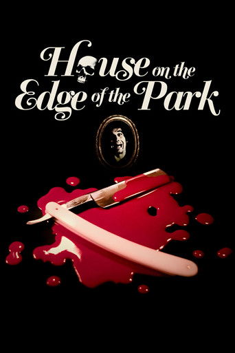 House on the Edge of the Park (1980) movie poster