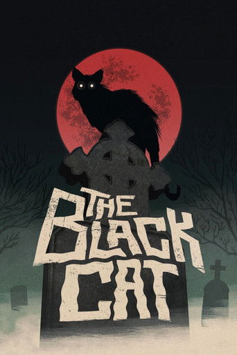 The Black Cat (1981) movie poster