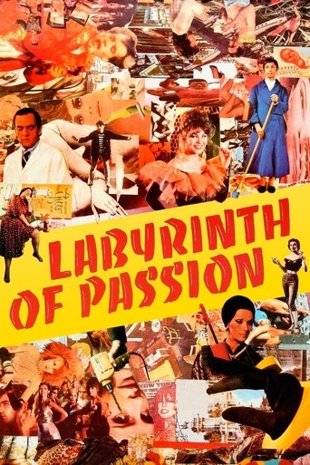 Labyrinth of Passion (1982) movie poster