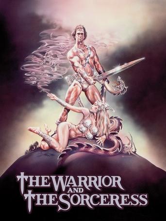The Warrior and the Sorceress (1984) movie poster