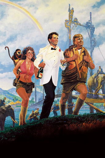 Volunteers (1985) movie poster