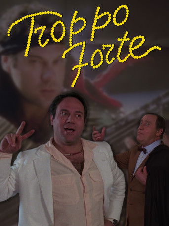 Too Much (1986) movie poster