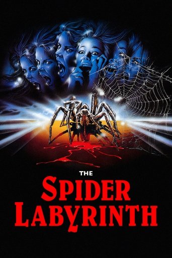 The Spider Labyrinth (1988) movie poster