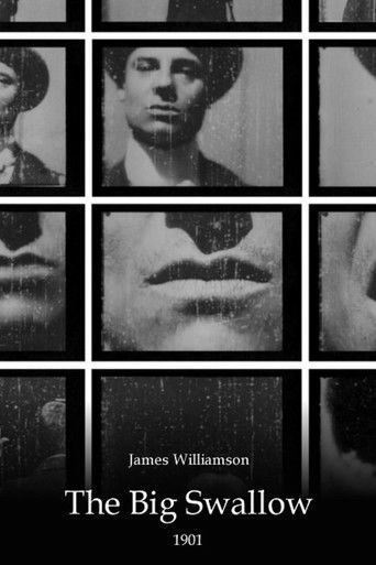 The Big Swallow (1901) movie poster