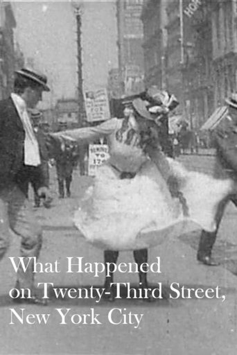 What Happened on Twenty-Third Street, New York City (1901) movie poster