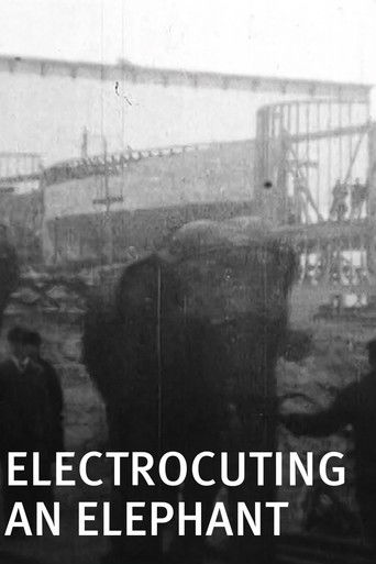 Electrocuting an Elephant (1903) movie poster