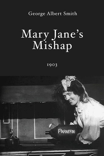 Mary Jane's Mishap (1903) movie poster