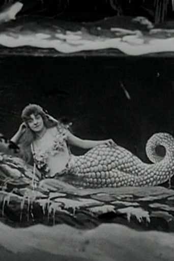 The Mermaid (1904) movie poster
