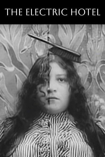 The Electric Hotel (1908) movie poster