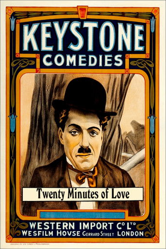 Twenty Minutes of Love (1914) movie poster