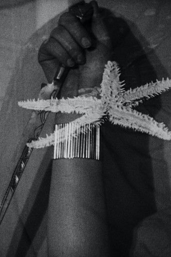 The Starfish (1928) movie poster