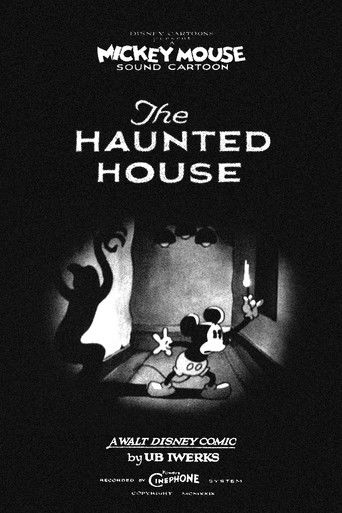 The Haunted House (1929) movie poster